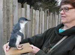 Martha meets a (former) little penguin